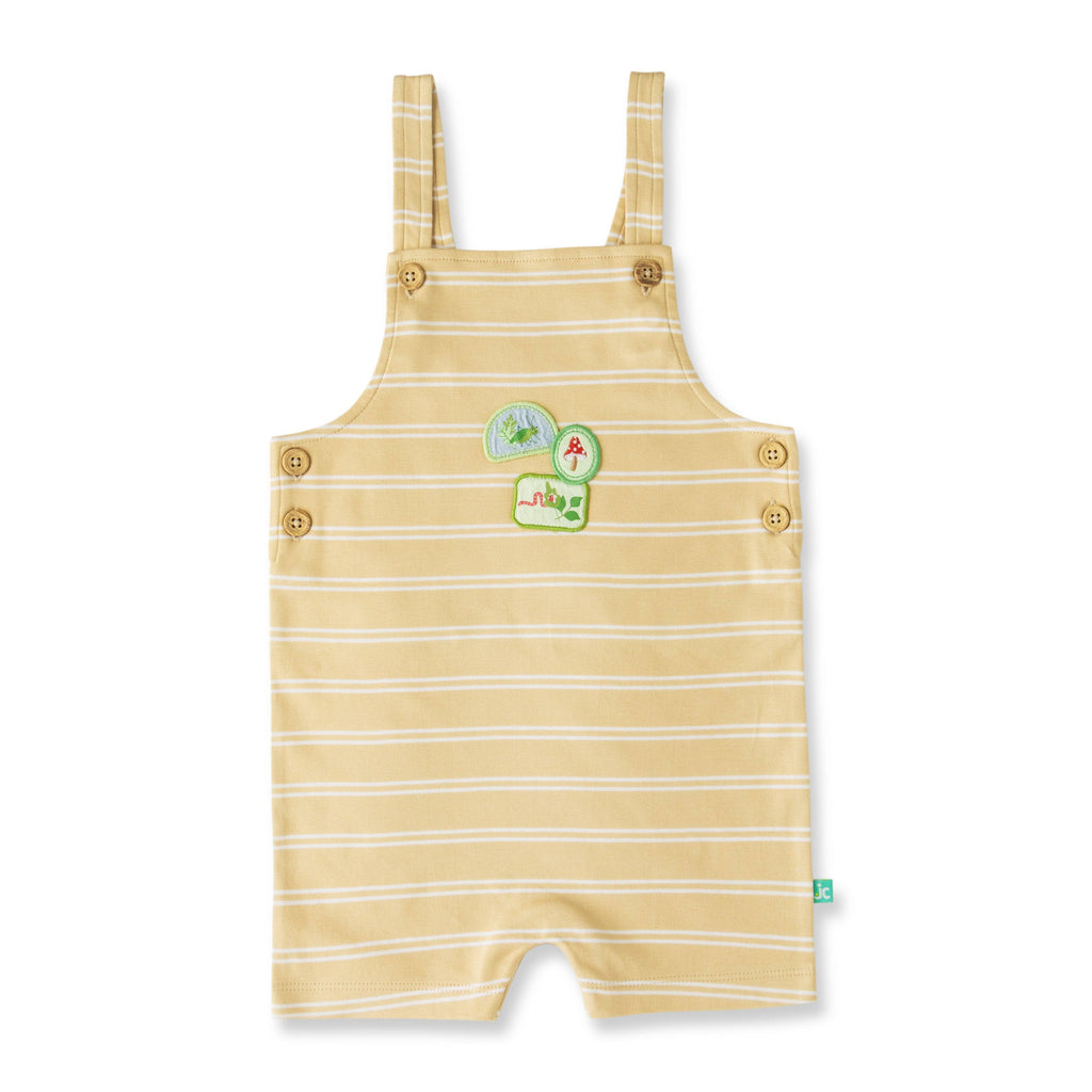 Little Adventurer Dungaree